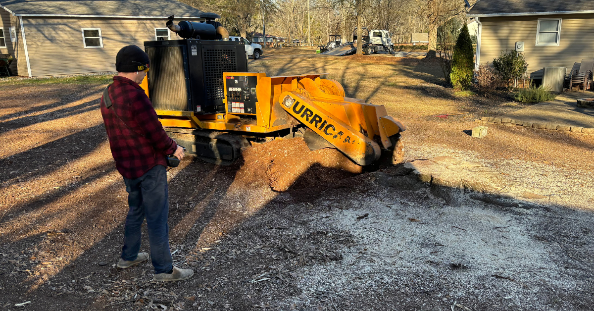 Why Stump Removal Is Worth It